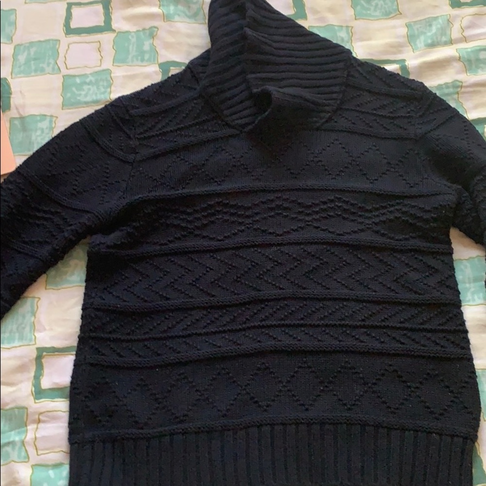 American Eagle Turtleneck